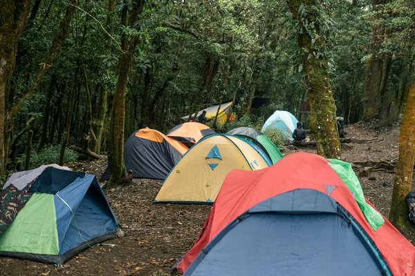 Le camping écoresponsable : une option séduisante face aux hébergements de prestige