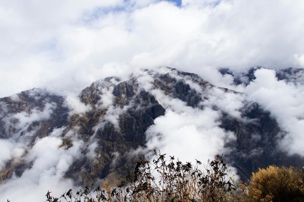 Échappez-vous au camping en camargue : loisirs et nature !